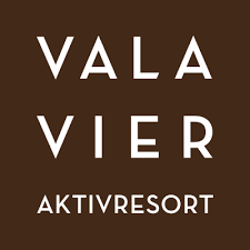 valavier logo